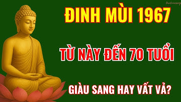 Đinh Mùi 1967: TỪ NAY ĐẾN 70 TUỔI. Lộc Vàng Liên Tục, Hậu Vận SUNG TÚC!
