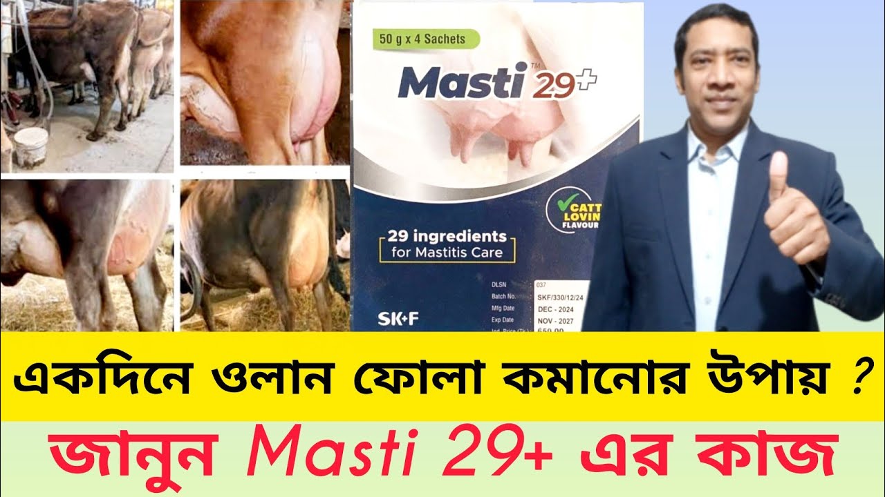 একদিনে ওলান ফোলা কমানোর উপায়? জানুন Masti 29+ এর কাজ ||  VET Medicine BD