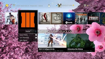 VEV Hanami (Cherry Blossom Festival) // Bonus Stage Dynamic Theme / Playstation 4