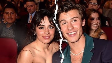 Why Shawn Mendes and Camila Cabello Split (Source)