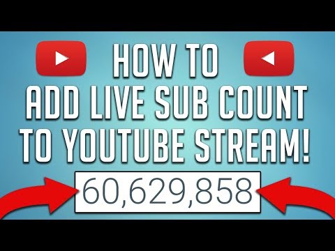 How to Embed LIVE  Subscriber Count on Your Website, Blog