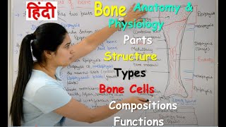 Bone Anatomy and Physiology in Hindi | Bone cells | compositions | Types | Structure | Functions screenshot 2