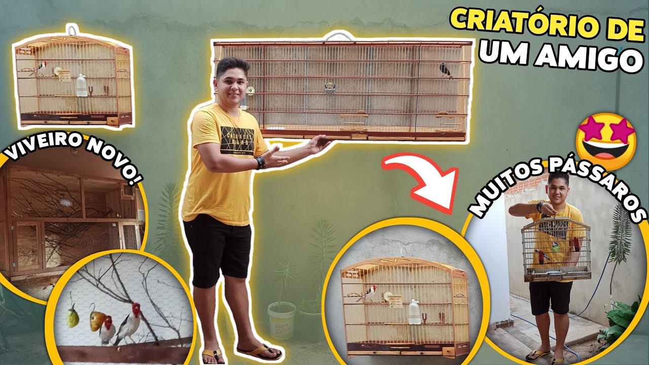 🤩 FUI VISITAR O CRIATÓRIO DO MEU AMIGO NOVAMENTE! (Ele terminou o viveiro)