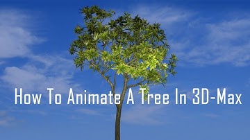 3D Max Tree Animation Tutorial