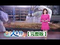祖傳四代手釀豆瓣醬 岡山名產外銷全世界/西螺一甲子柴燒醬油 堅持180天甘醇釀造/傳承古法蠶豆釀造 麻辣鍋醬料市佔九成/循古法養菌發酵 豆腐乳廠轉型拚外銷【台灣人事物】2025.10.25✦完整版✦