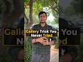 Gallery trick you never tried #shorts #gallery #android #smartphone #samsung #tipsandtricks #howto
