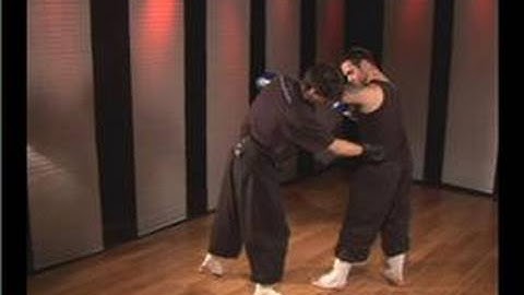 Kung Fu : Inside Palm Block & Reverse Punch