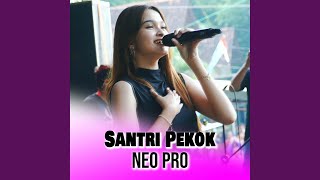 Santri Pekok