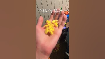 Day 33 of printing a duck per sub