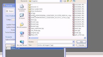 Demostracion Tutorial Aplicacion Windows Form en N-Capas con VB.Net