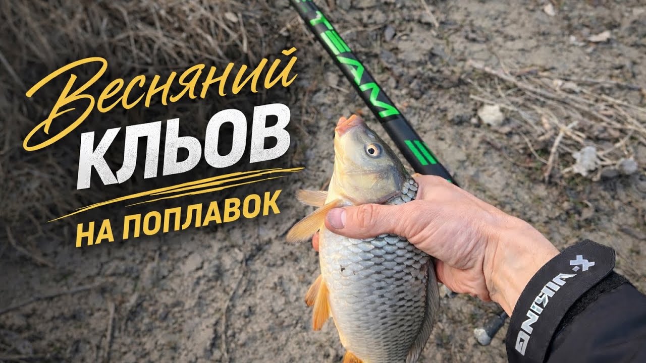 Поплавочна риболовля весною на Дунаї | Активний кльов у березні та коропи бонусом
