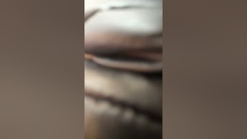 Stacker Attract Mode