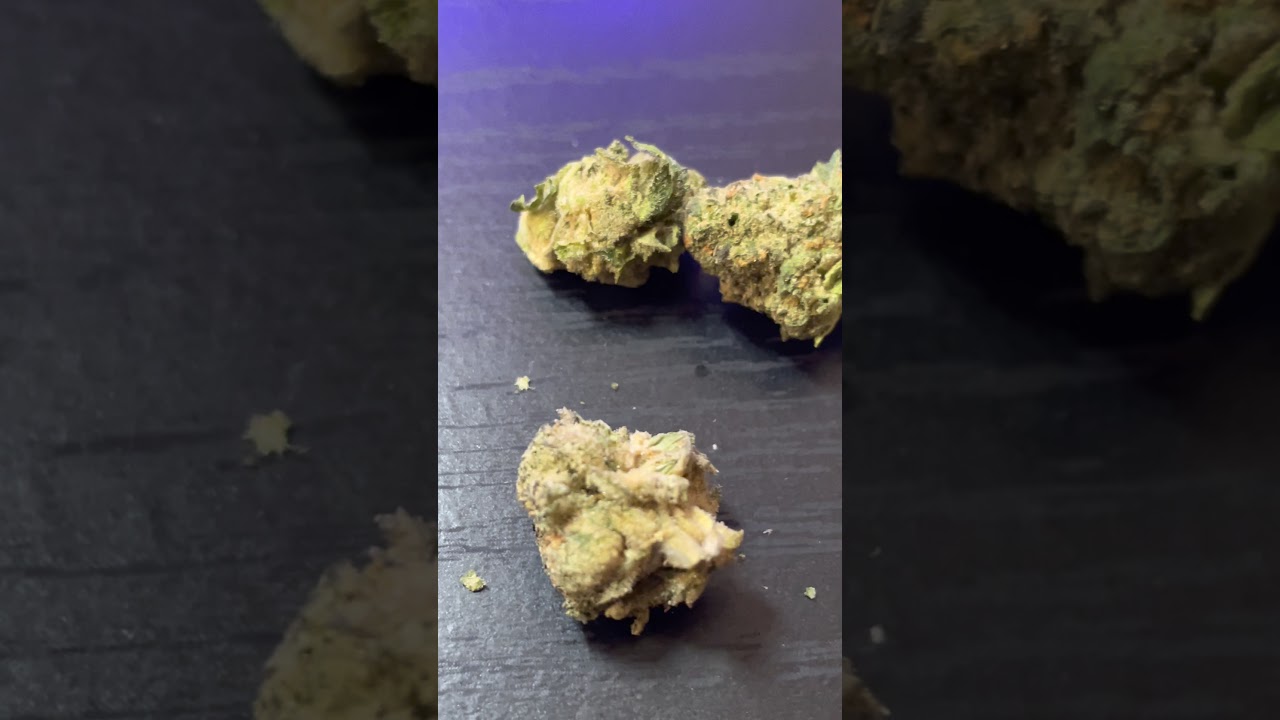 High C strain review