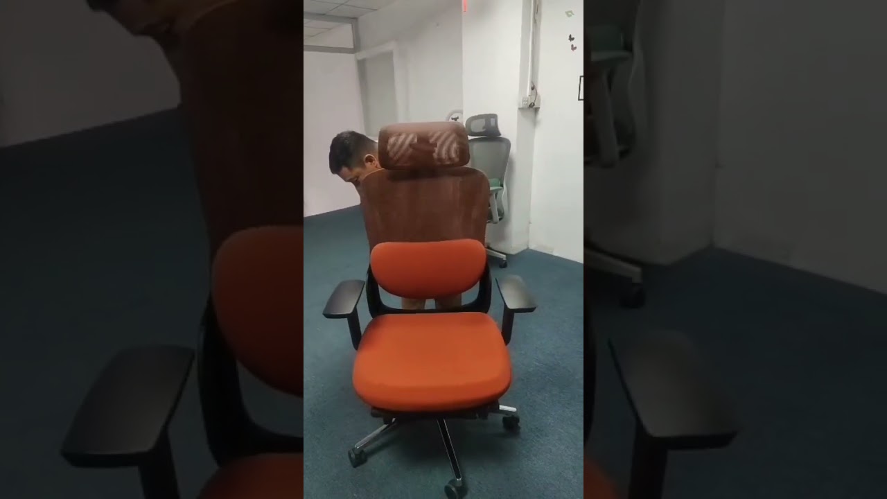 Lumber Support Office Chair