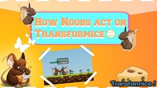 Transformice: How noobs act (Skit)