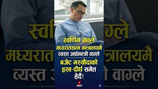 Finance Minister Swarnim Wagle #swarnimwagle #nepal #rsp #pmbalen #rabilamichhane #balenshah