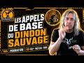 Formation Les appels de base du dindon sauvage à connaître Mario Huot #chasse #Dindon #Calling