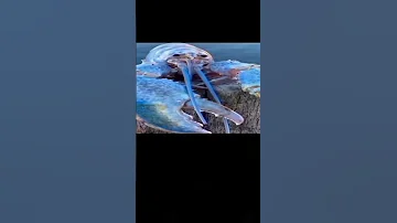 Top 5 Scariest Jumpscares Earrape Funny Jumpscare 