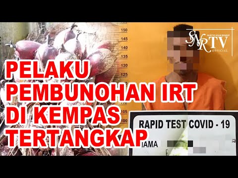 SAKIT HATI ⁉️ Hanya GARA-GARA selalu dimarahi dengan kata“JANGAN YG BUSUK-BUSUK DIJUAL” BRONDOLSAWIT