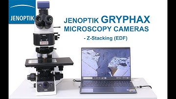 Jenoptik Gryphax Microscopy Cameras and Software - Z-Stacking (EDF)