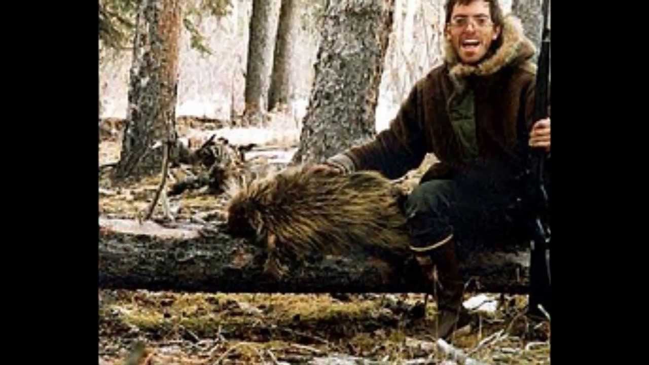 chris mccandless journal