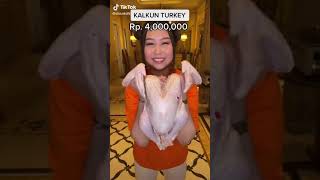 Beli Kalkun harga 4 juta #shorts