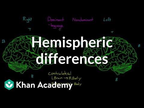 Hemispheric differences and hemispheric dominance