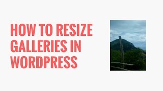 How to Resize Image Galleries in WordPress