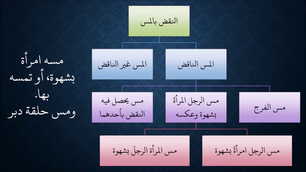 08شرح زاد المستقنع - عامر بهجت - 1440هـ - (نواقض الوضوء)