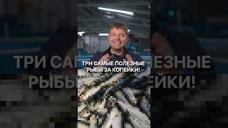 3 самые полезные рыбы за копейки, которые есть в каждом магазине! #рыба #рыбалка #здоровье #питание