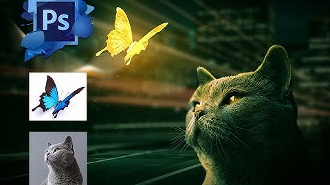 Cat & Butterfly - Manipulation Photoshop Tutorial