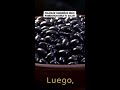 ¡Descubre por qué los frijoles negros son un superalimento esencial para tu corazón!