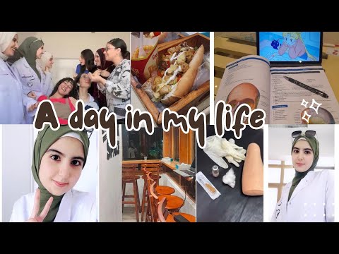 فلوج يوم منتج في كلية الطب الجزء الخفي من حياة طلاب الطب 