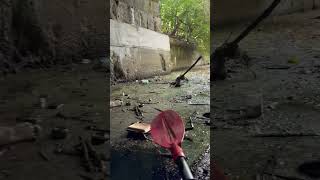 Kayaking The Alewife Under Broadway Bridge