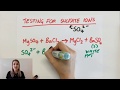 Sulphate Ion Test Quiz