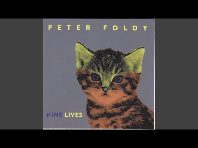 Peter Foldy - In Too Deep