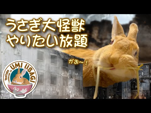 うさぎ大怪獣はやりたい放題〜部屋んぽスペースの惨状 [166] - YouTube