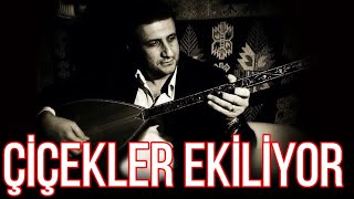 Çiçekler ekiliyor - Umut Çakır #çiçeklerekiliyor #türküler #neşetertaş