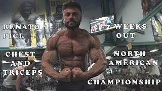 Bodybuilder Classic Physique Athlete Renato Pici Chest And Triceps Video 2 Weeks Out.