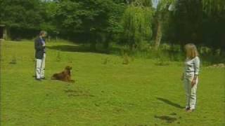 Distance Sit 2  Improving  Training Dogs With Dunbar