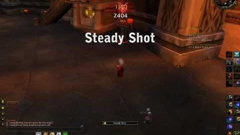 Cataclysm Beta MM Hunter Shot Rotation