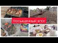 ✅НАСЫЩЕННЫЙ ВЛОГ/РАБОТАЕМ И ОТДЫХАЕМ/ГОТОВКА/ПОКУПКИ