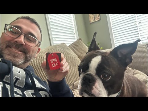 🚨Let’s Play WHO AM I! Calvin The Boston Terrierist! is LIVE!🚨