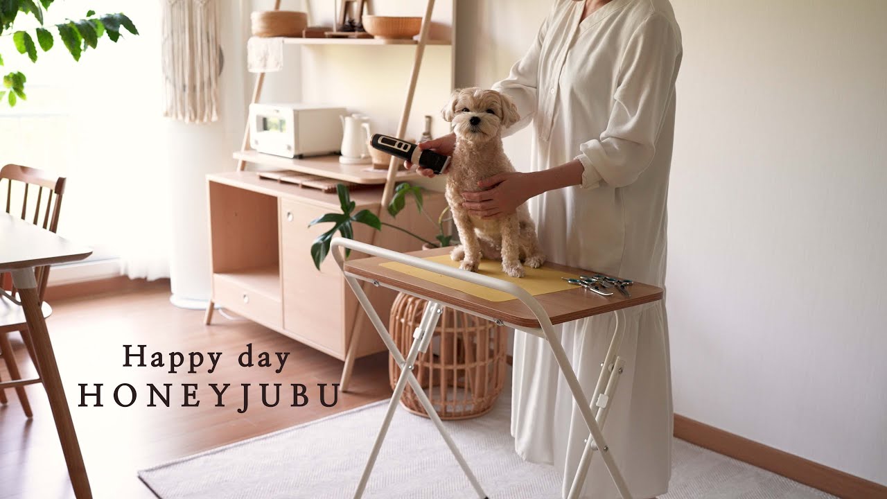 일주일이 행복해지는 부지런한 일상 / 루시 미용, 코스트코 장보기, 집밥, 수박화채, 낙지볶음, 미역국 / vlog