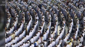 ترتيل للقارئ الشيخ مصطفى ابراهيم عوض الله