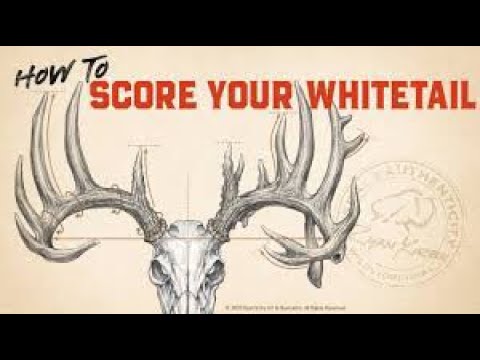 How to score your whitetail - YouTube