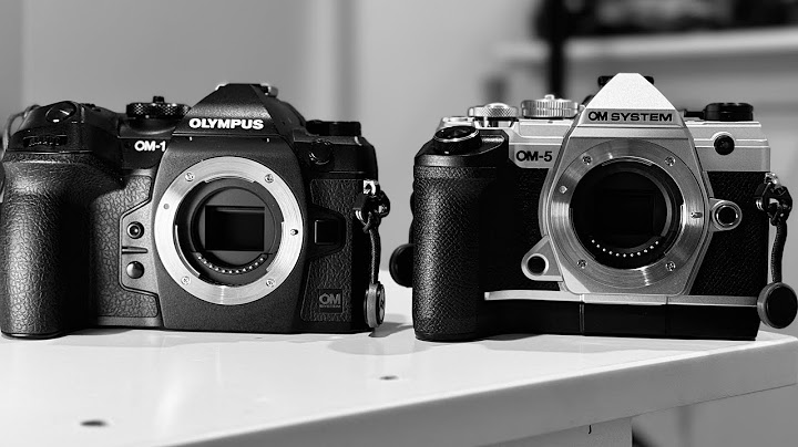 Olympus OM-5 vs OM-1: Which do I keep, which one goes?