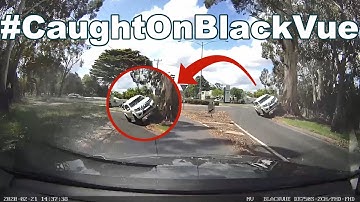 4WD Running up a TREE... #CaughtOnBlackVue