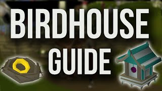 OSRS Birdhouse Guide + Example Run - COMPLETE QUICK GUIDE [2018]