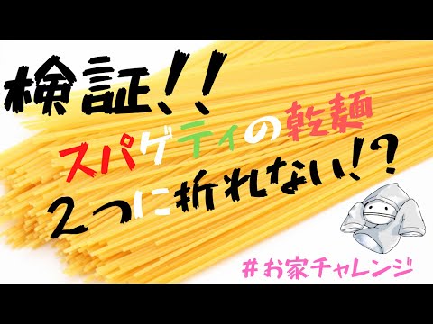 【放送事故】スパゲティの乾麺は絶対に２つに折れないらしい【お家チャレンジ】